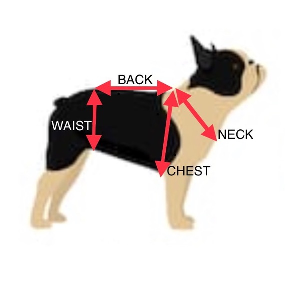 BNIP GUCCI POOCHI GG Monogram Hoodie Pet Jacket - Picture 8 of 8